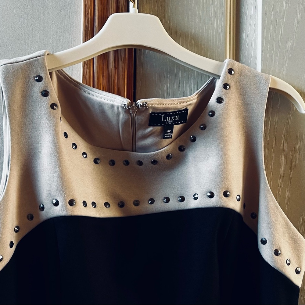 Lux II Black and Cream Studded Dress